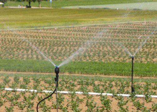 sprinkers on farm
